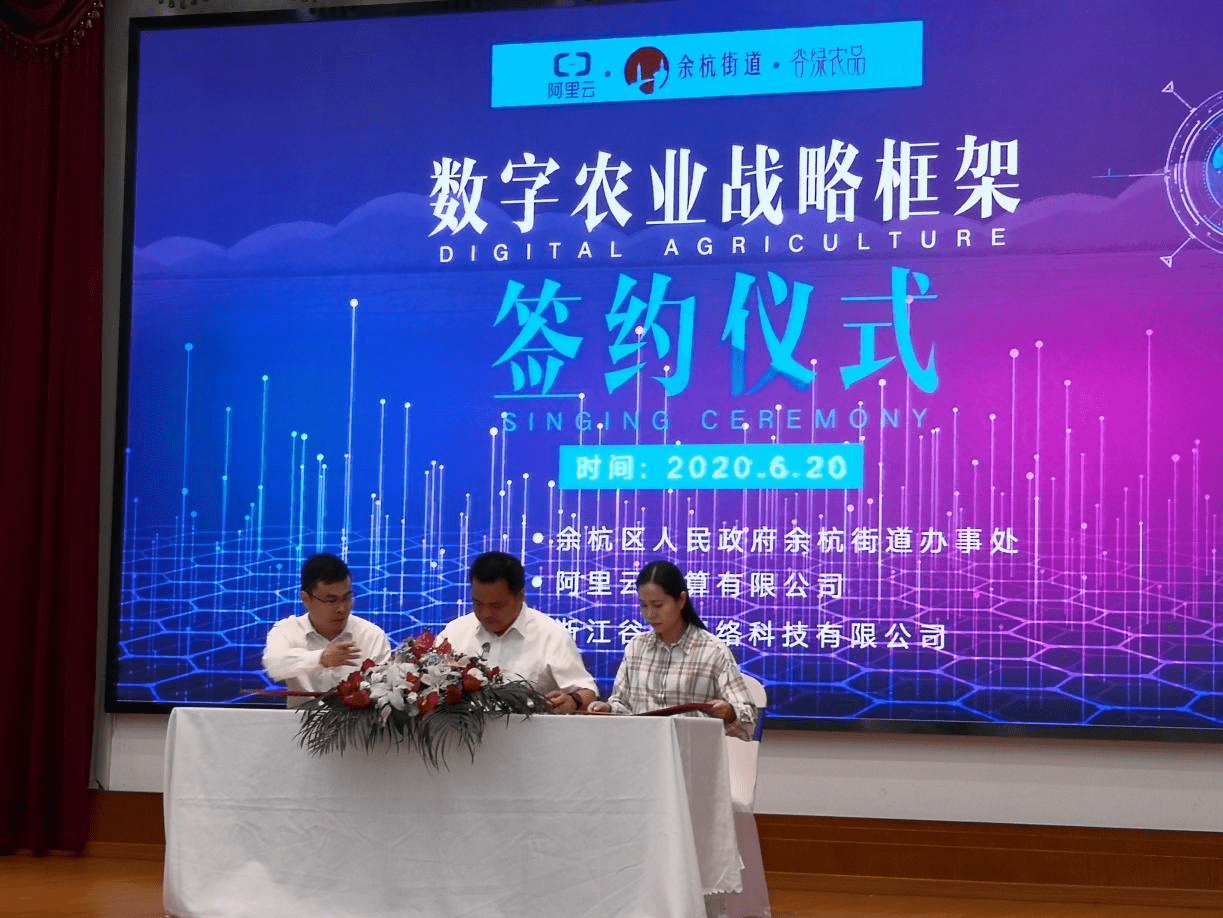 稻香小镇 杭州余杭街道驱动集体经济增长的新引擎